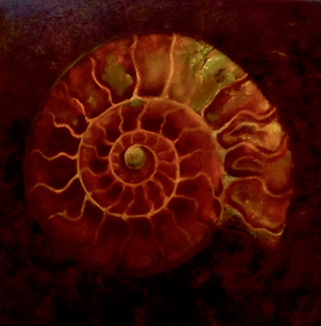Red/Gold Ammonite, 2020 作者 李·坎贝尔