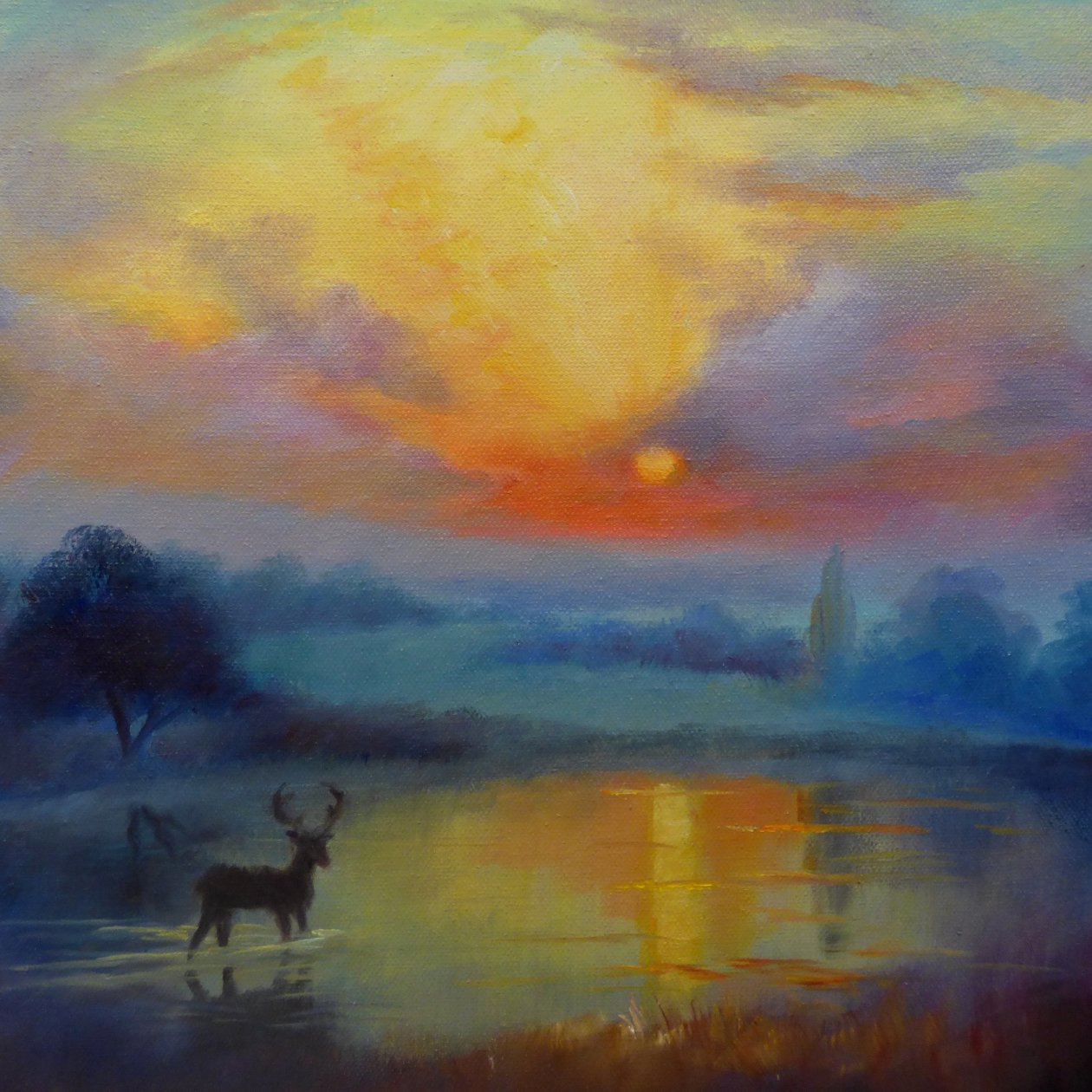Richmond Park, 2019 作者 李·坎贝尔