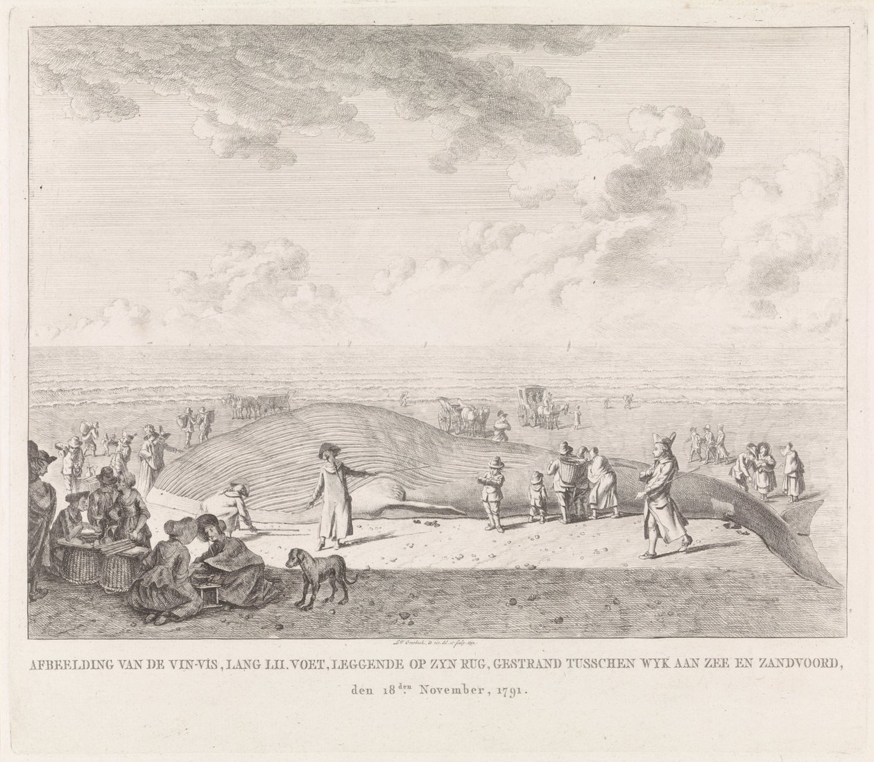 被冲到赞德沃特附近海滩上的长须鲸
1791 年 11 月 18 日搁浅在 Wyk aan Zee 和 Zandvoort 之间的长须鲸（......）的图像（标题在实物上） 作者 莱德特奥弗贝克