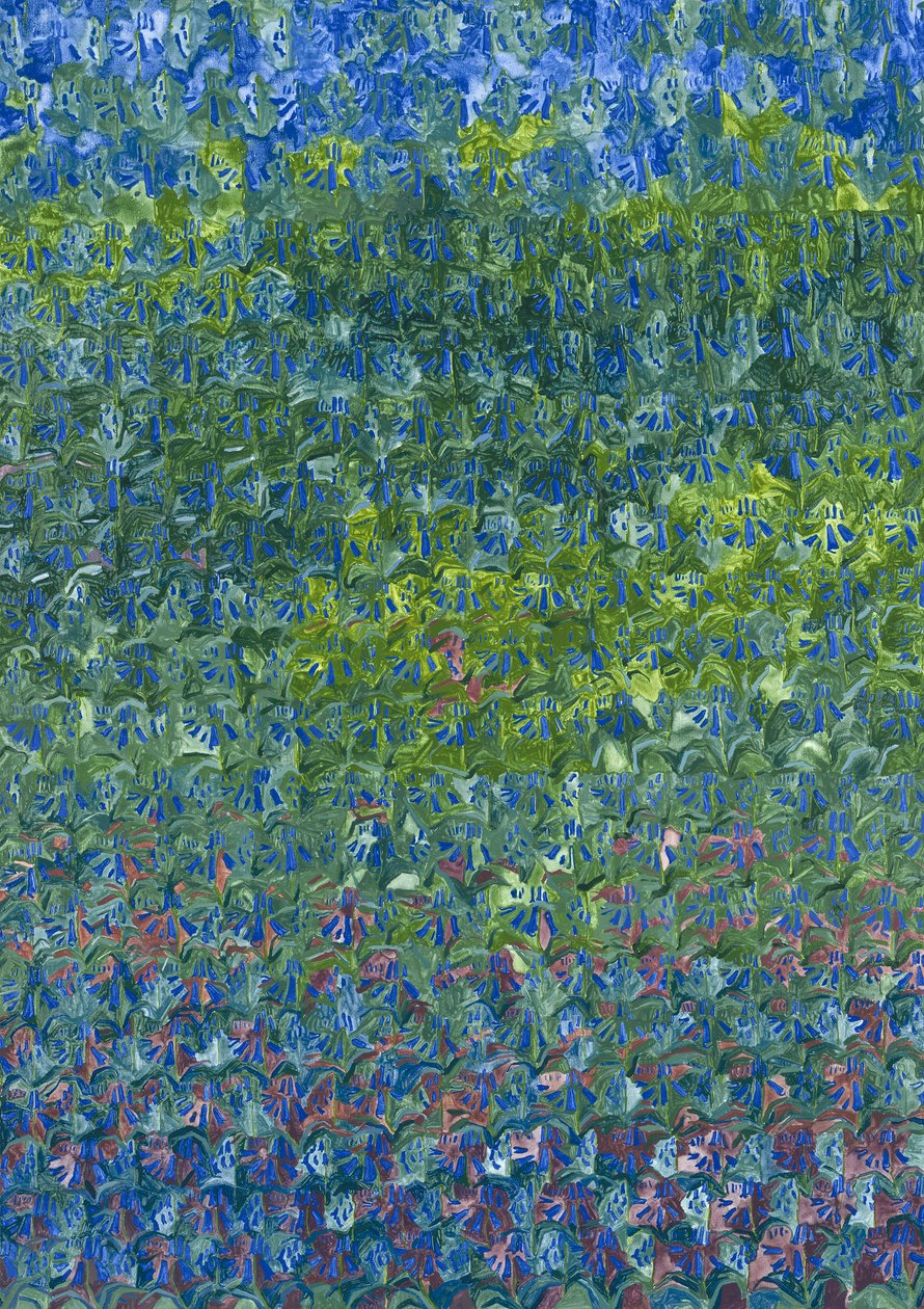 蓝铃花，2012， 作者 雷·格洛弗（Leigh Glover）