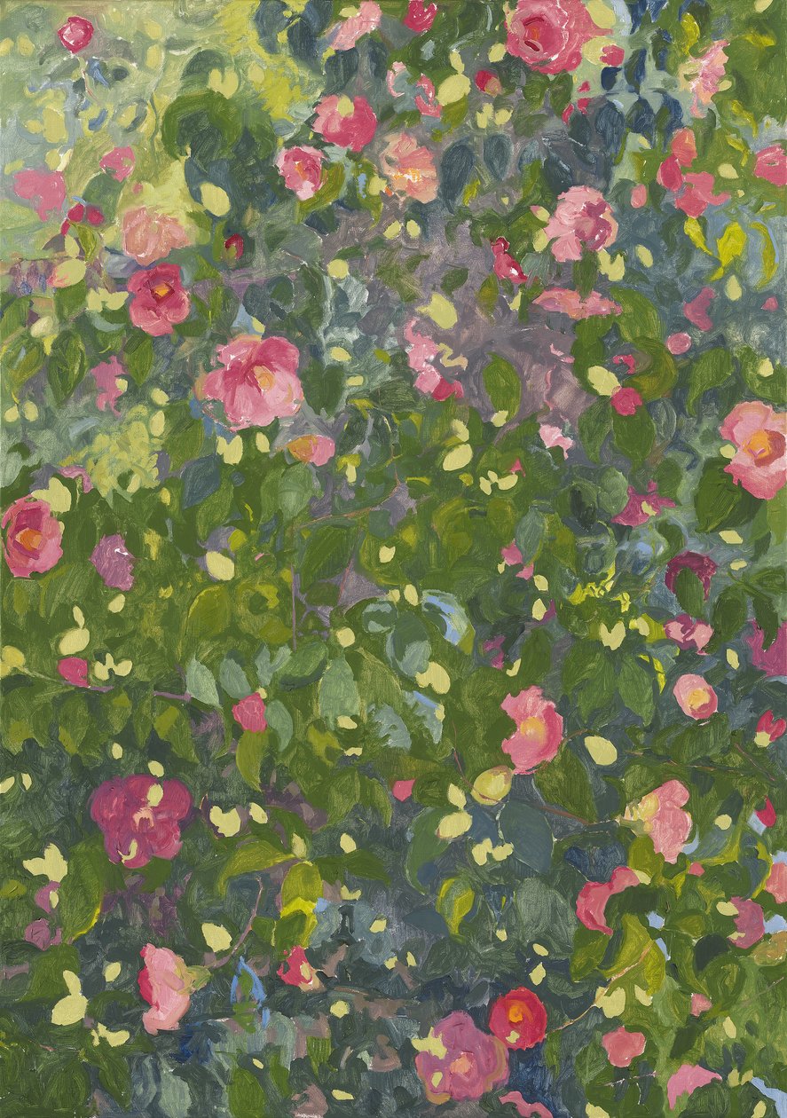 花的山茶花，2014年 作者 雷·格洛弗（Leigh Glover）
