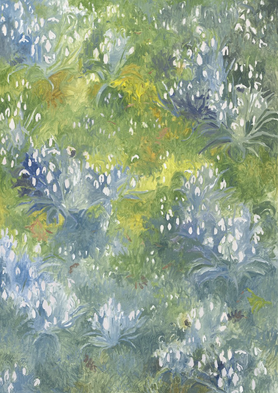 Snowdrops，2014， 作者 雷·格洛弗（Leigh Glover）