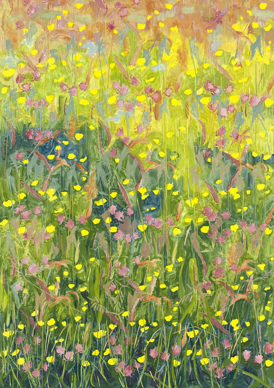 夏季草甸，2012年， 作者 雷·格洛弗（Leigh Glover）