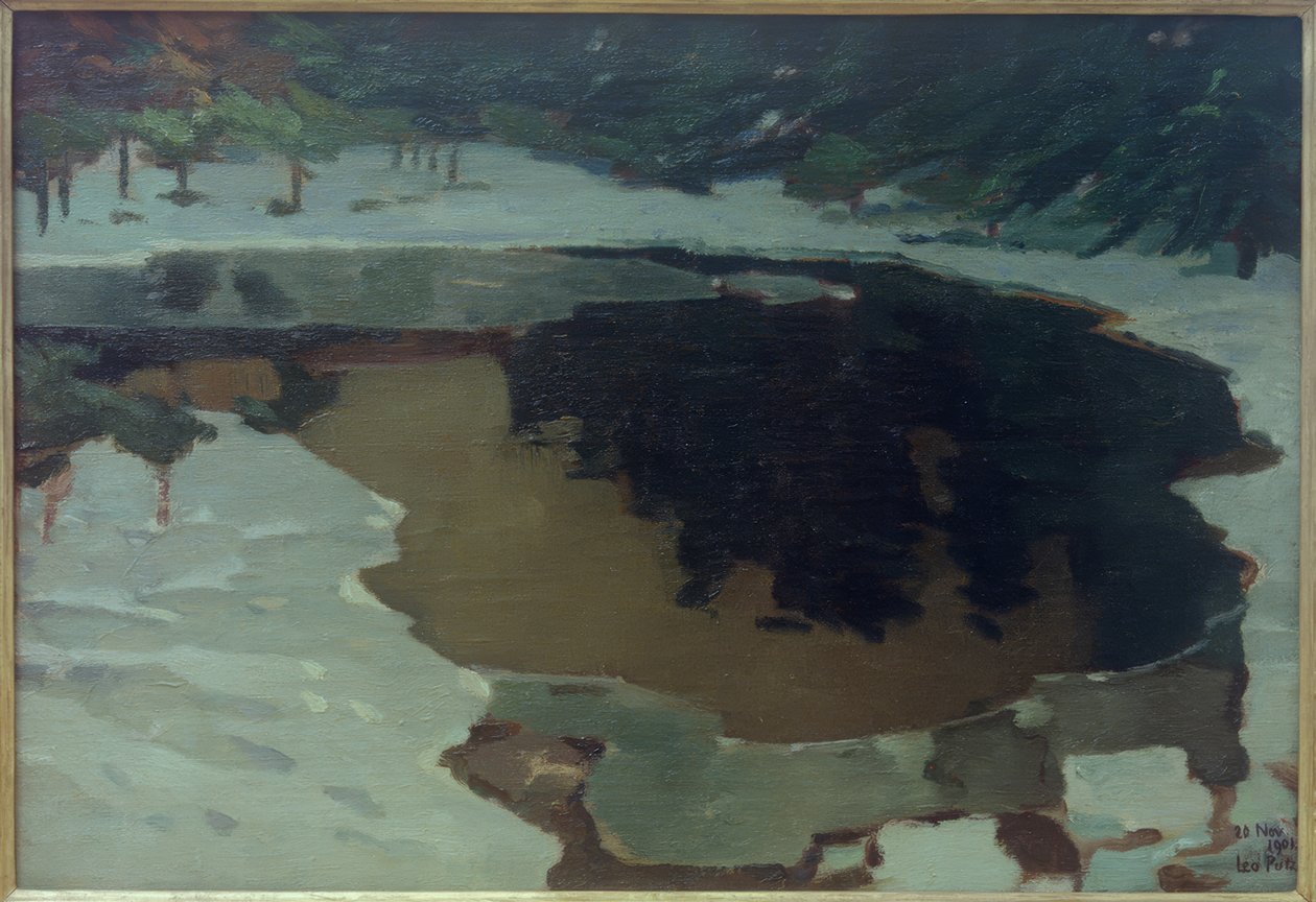 Moorsee im Winter 作者 狮子座石膏