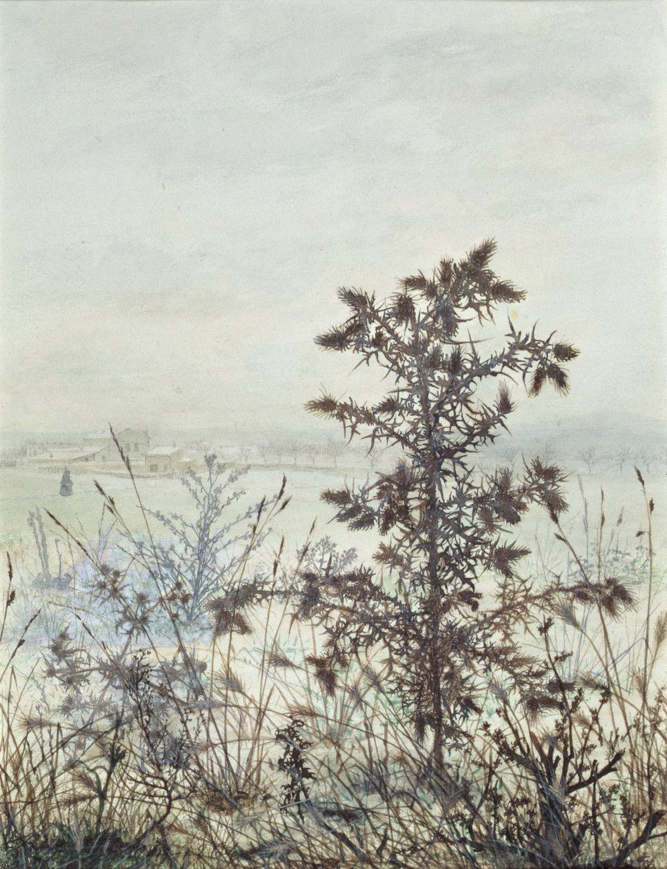 蓟和杂草，1864年（wc，bodycolour，pen und ink和paper on paper） 作者 莱昂·邦万