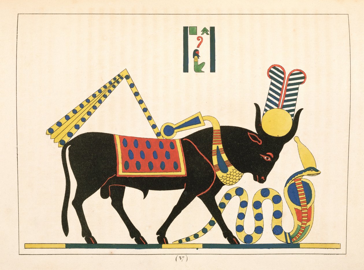 Apis公牛，来自埃及万神殿的插图：来自古埃及神话人物的集合Jean-Francois Champollion，1823-25出版 作者 莱昂·简·约瑟夫·杜波依斯
