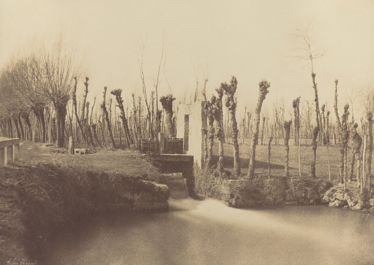 风景，蒙特贝罗，约 1860 年（照片1860 年（照片） 作者 莱昂·热拉尔
