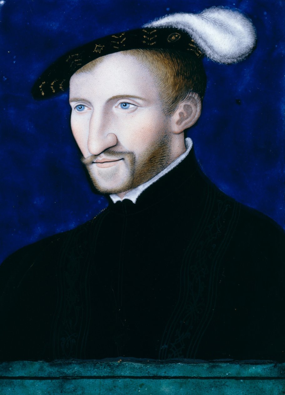 Henri d“Albret，纳瓦拉国王，1556年 作者 伦纳德·利莫辛