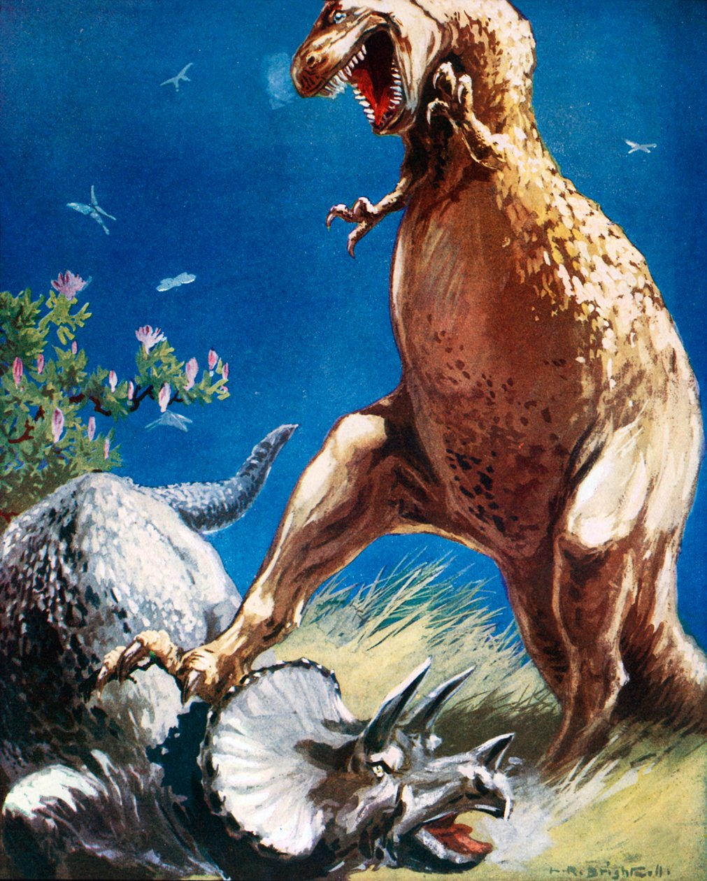  作者 伦纳德·罗伯特·布莱特威尔