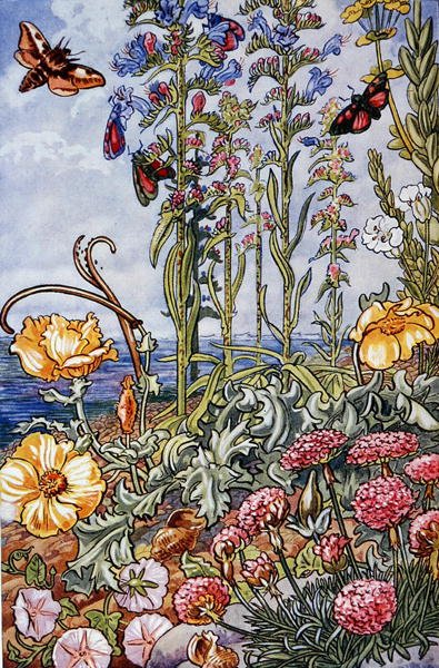 英国海滨生活》插图，1947年印制（彩色平印）。 作者 伦纳德·罗伯特·布莱特威尔