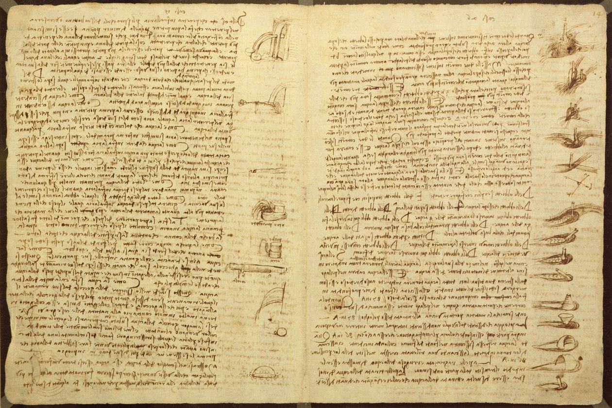 法典莱斯特的一页，1508-12（亚麻纸上的棕褐色墨水） 作者 达芬奇（Leonardo da Vinci）
