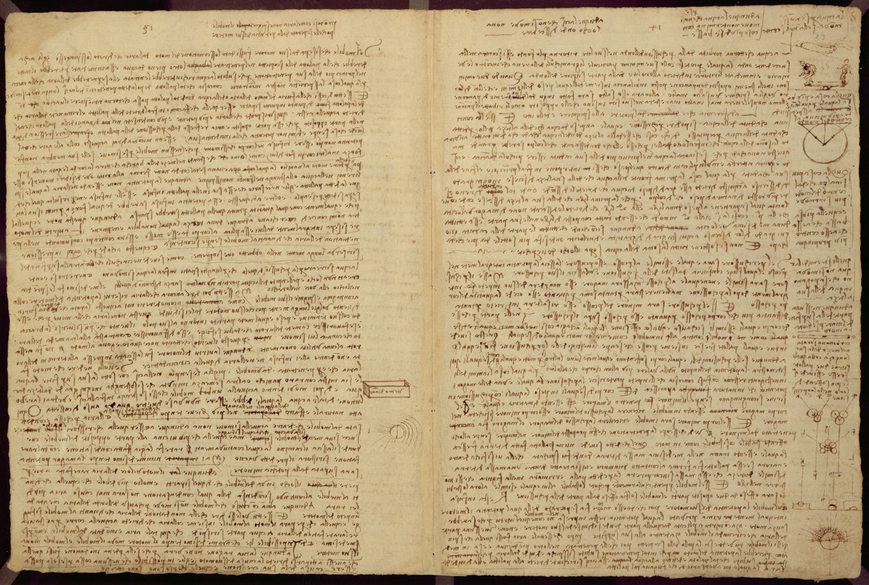 法典莱斯特的一页，1508-12（亚麻纸上的棕褐色墨水） 作者 达芬奇（Leonardo da Vinci）