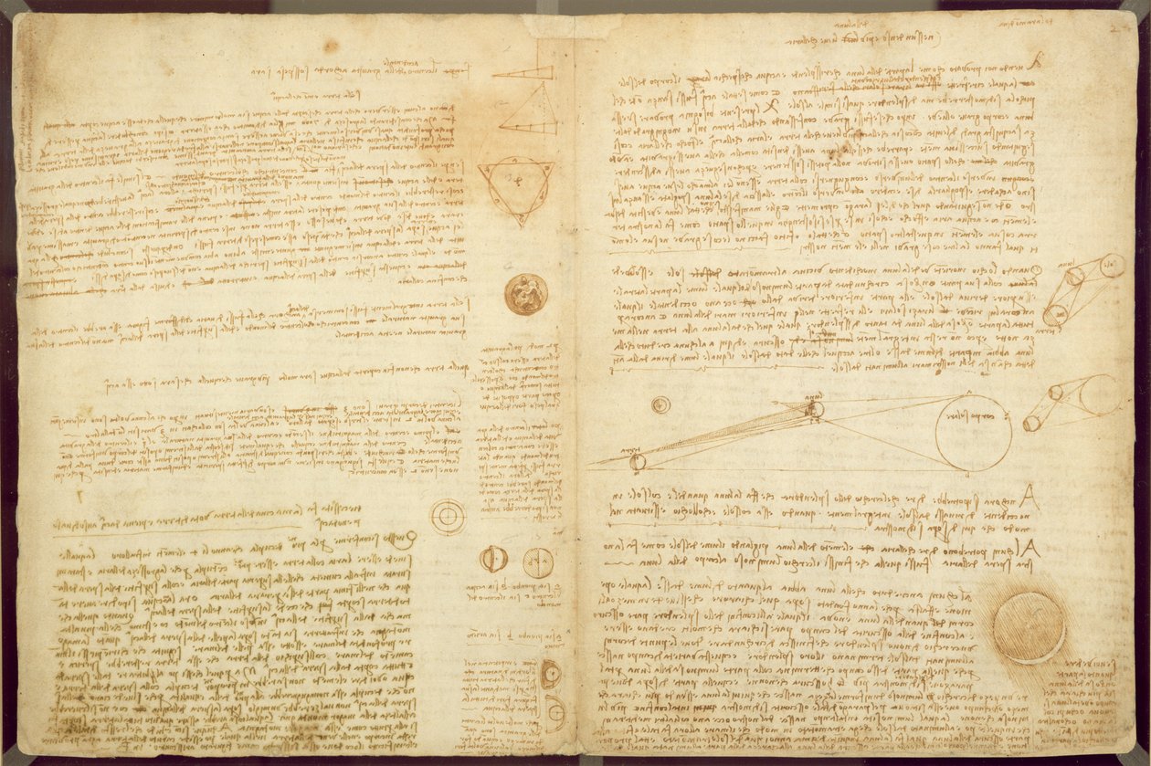 法典莱斯特的一页，1508-12（亚麻纸上的棕褐色墨水） 作者 达芬奇（Leonardo da Vinci）