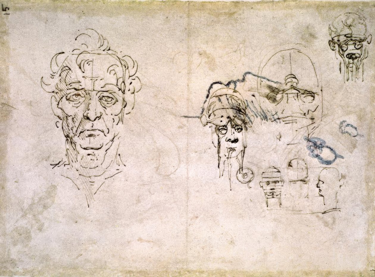 解剖学研究 作者 达芬奇（Leonardo da Vinci）