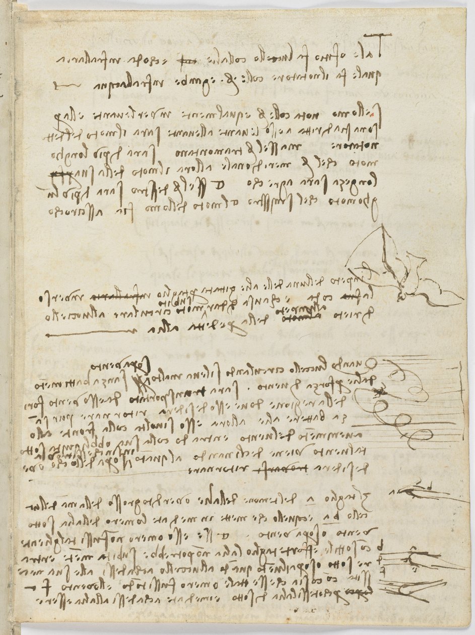 鸟类飞行代码，c。 1505-06，纸质手稿，cc。 18，表10正面 作者 达芬奇（Leonardo da Vinci）
