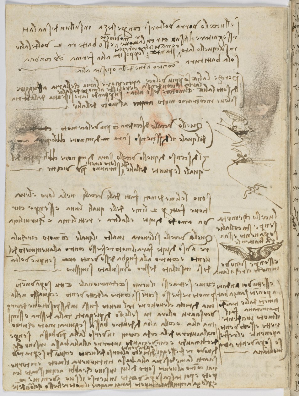 鸟类飞行代码，c。 1505-06，纸质手稿，cc。 18，表10反面 作者 达芬奇（Leonardo da Vinci）