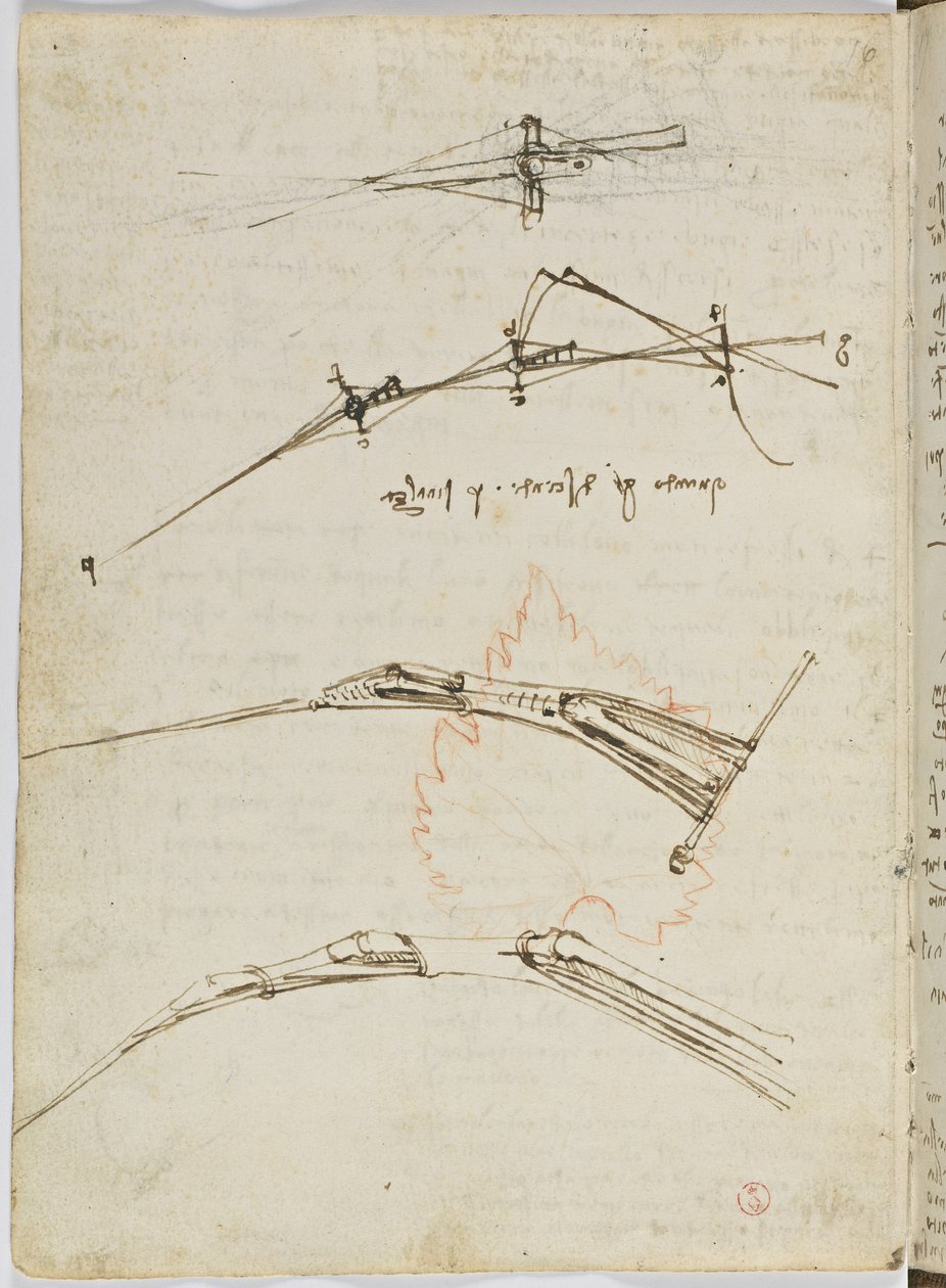 鸟类飞行代码，c。 1505-06，纸质手稿，cc。 18，表11反面 作者 达芬奇（Leonardo da Vinci）