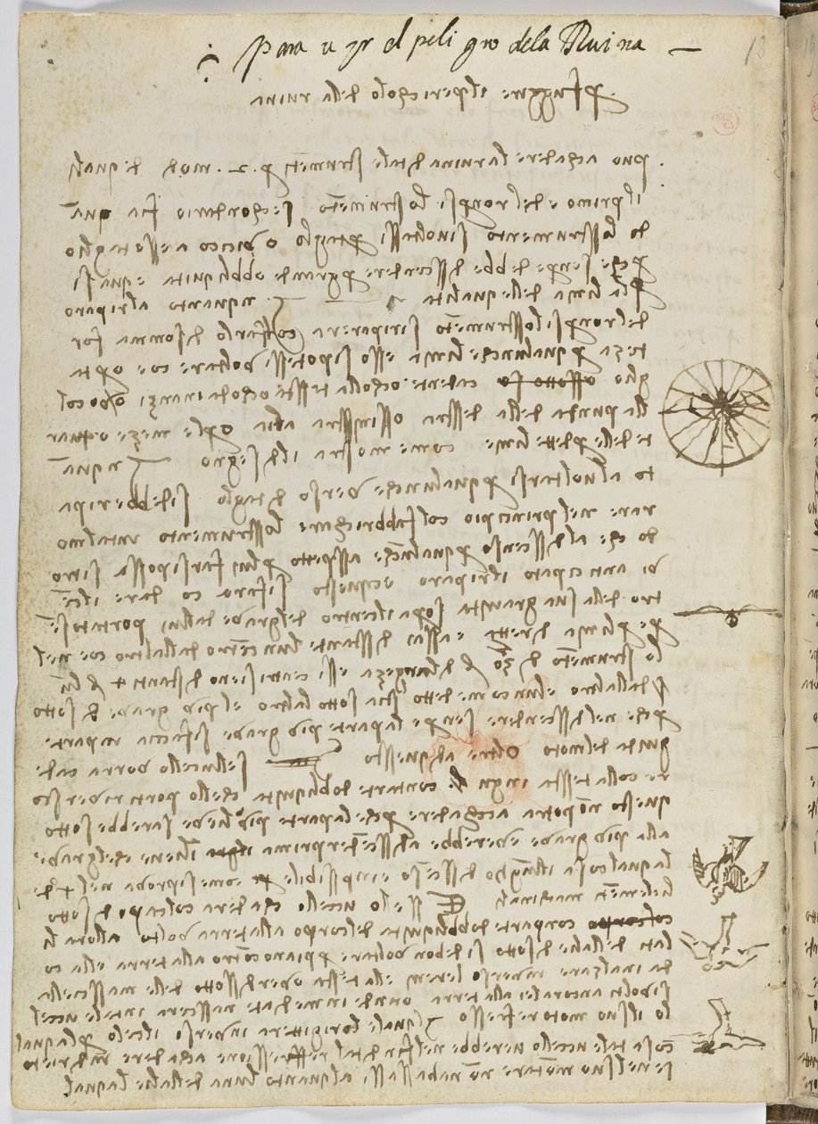 鸟类飞行代码，c。 1505-06，纸质手稿，cc。 18，表12反面 作者 达芬奇（Leonardo da Vinci）