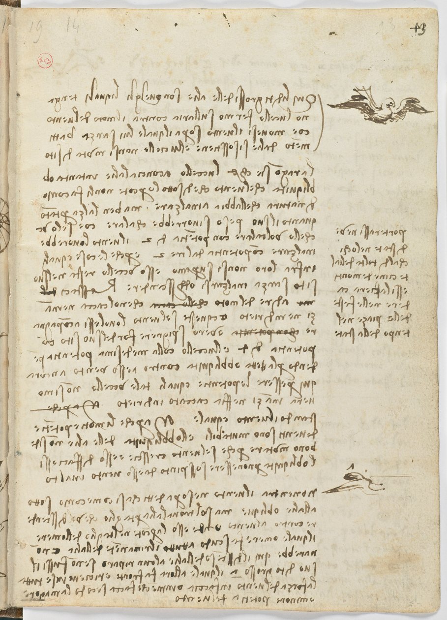鸟类飞行代码，c。 1505-06，纸质手稿，cc。 18，片材13正面 作者 达芬奇（Leonardo da Vinci）