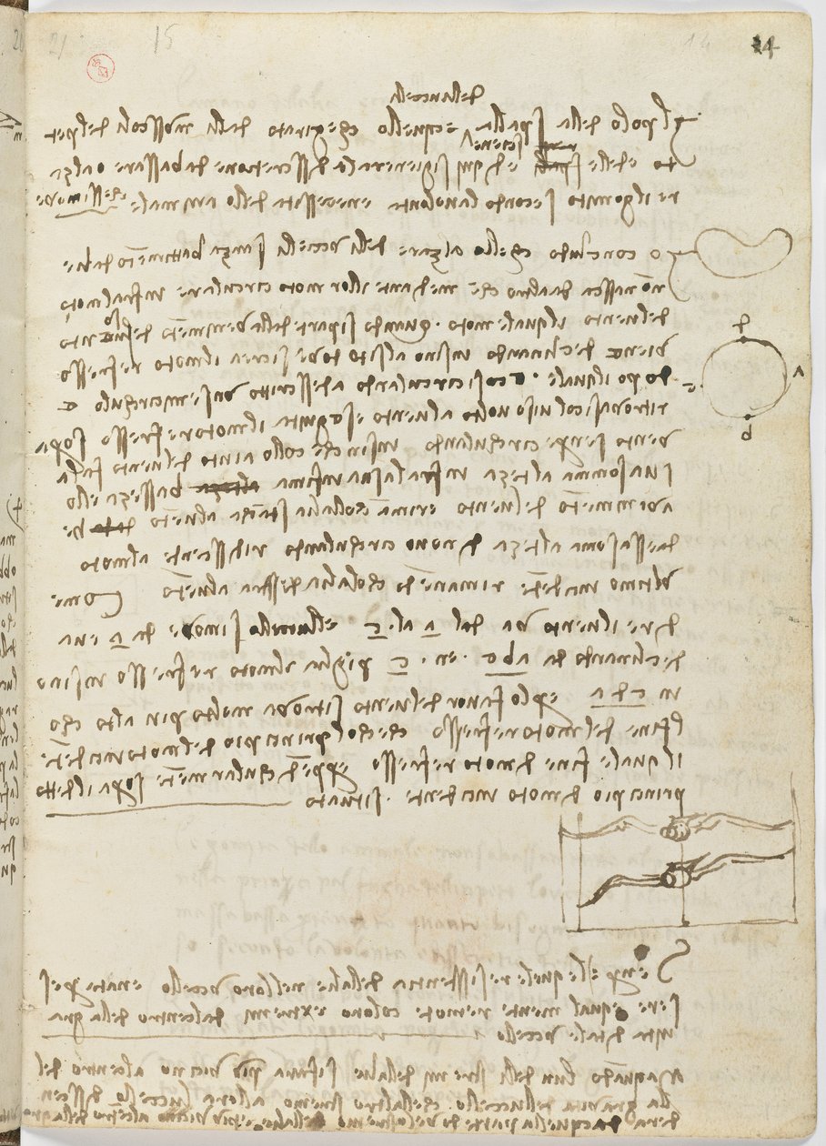 鸟类飞行代码，c。 1505-06，纸质手稿，cc。 18，片14正面 作者 达芬奇（Leonardo da Vinci）