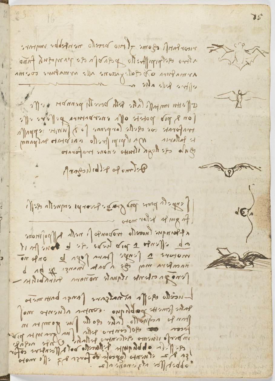 鸟类飞行代码，c。 1505-06，纸质手稿，cc。 18，表15正面 作者 达芬奇（Leonardo da Vinci）