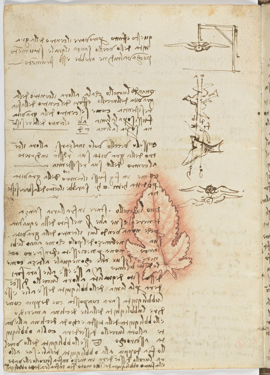 鸟类飞行代码，c。 1505-06，纸质手稿，cc。 18，表15反面 作者 达芬奇（Leonardo da Vinci）