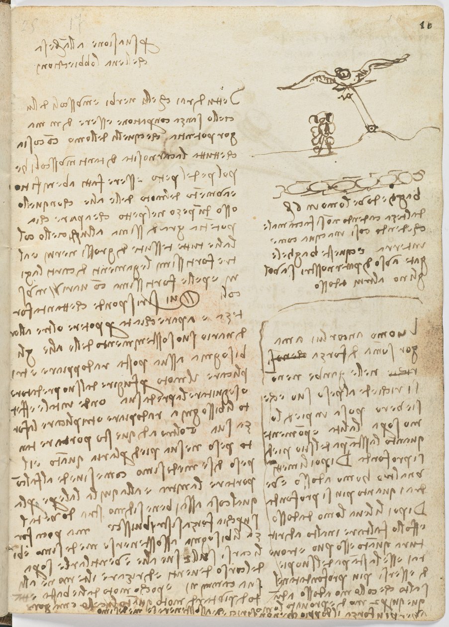 鸟类飞行代码，c。 1505-06，纸质手稿，cc。 18，板16正面 作者 达芬奇（Leonardo da Vinci）