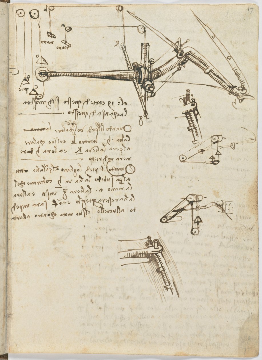 鸟类飞行代码，c。 1505-06，纸质手稿，cc。 18，片17正面 作者 达芬奇（Leonardo da Vinci）