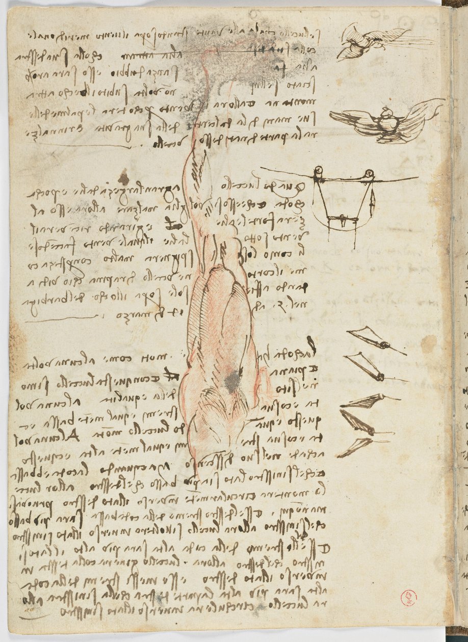 鸟类飞行代码，c。 1505-06，纸质手稿，cc。 18，表17反面 作者 达芬奇（Leonardo da Vinci）