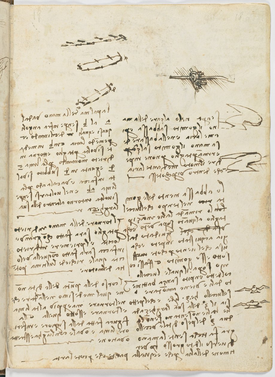 鸟类飞行代码，c。 1505-06，纸质手稿，cc。 18，板18正面 作者 达芬奇（Leonardo da Vinci）
