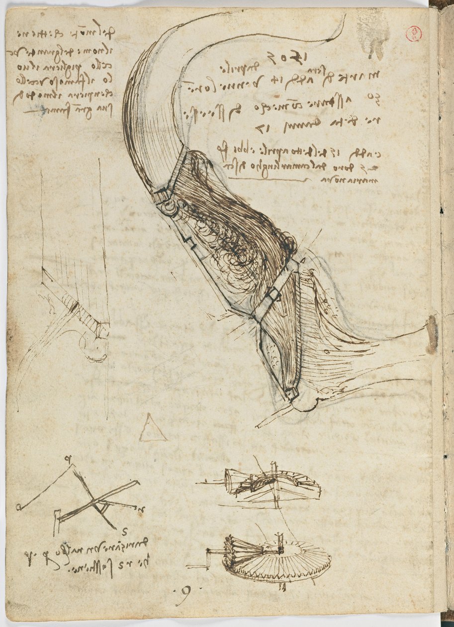 鸟类飞行代码，c。 1505-06，纸质手稿，cc。 18，表18反面 作者 达芬奇（Leonardo da Vinci）