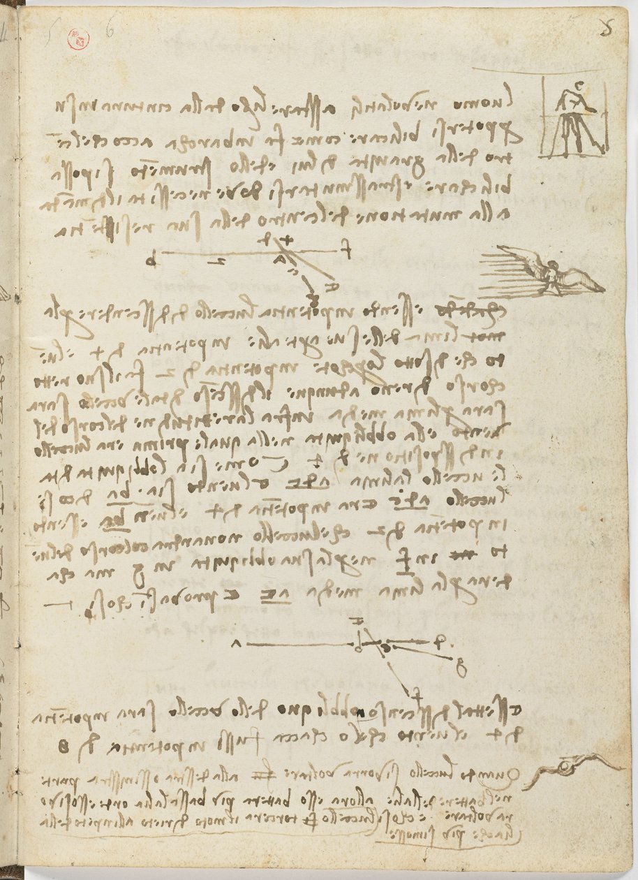 鸟类飞行代码，c。 1505-06，纸质手稿，cc。 18，表5正面 作者 达芬奇（Leonardo da Vinci）