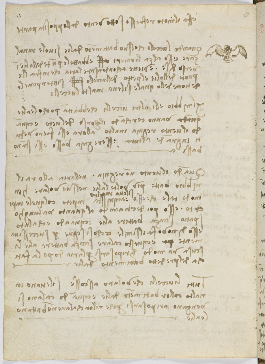 鸟类飞行代码，c。 1505-06，纸质手稿，cc。 18，表5反面 作者 达芬奇（Leonardo da Vinci）