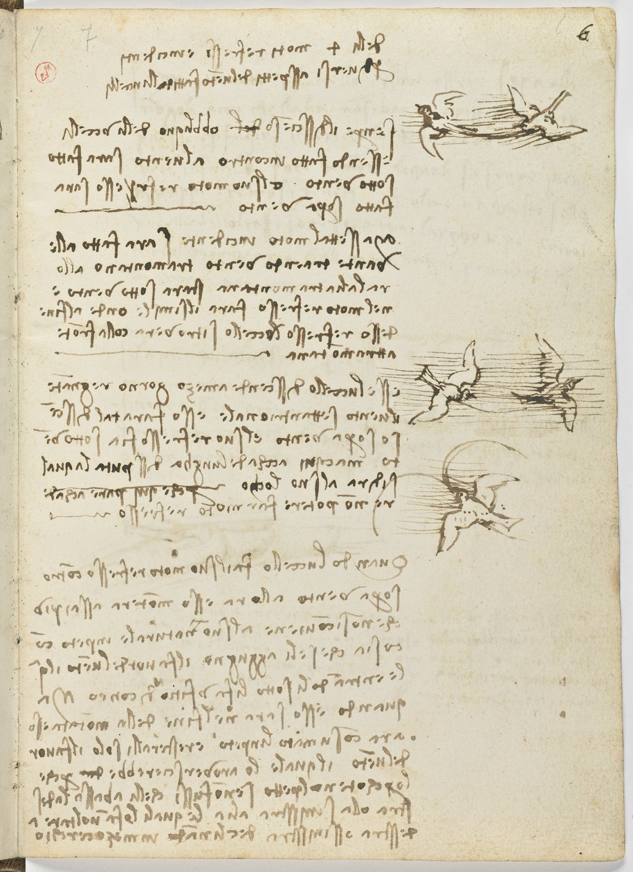 鸟类飞行代码，c。 1505-06，纸质手稿，cc。 18，表6正面 作者 达芬奇（Leonardo da Vinci）