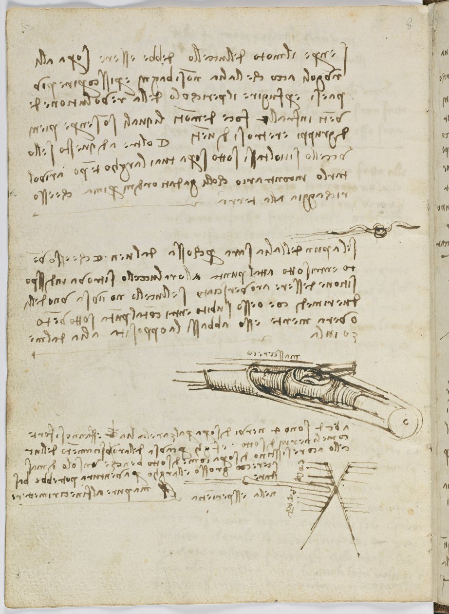 鸟类飞行代码，c。 1505-06，纸质手稿，cc。 18，表6反面 作者 达芬奇（Leonardo da Vinci）
