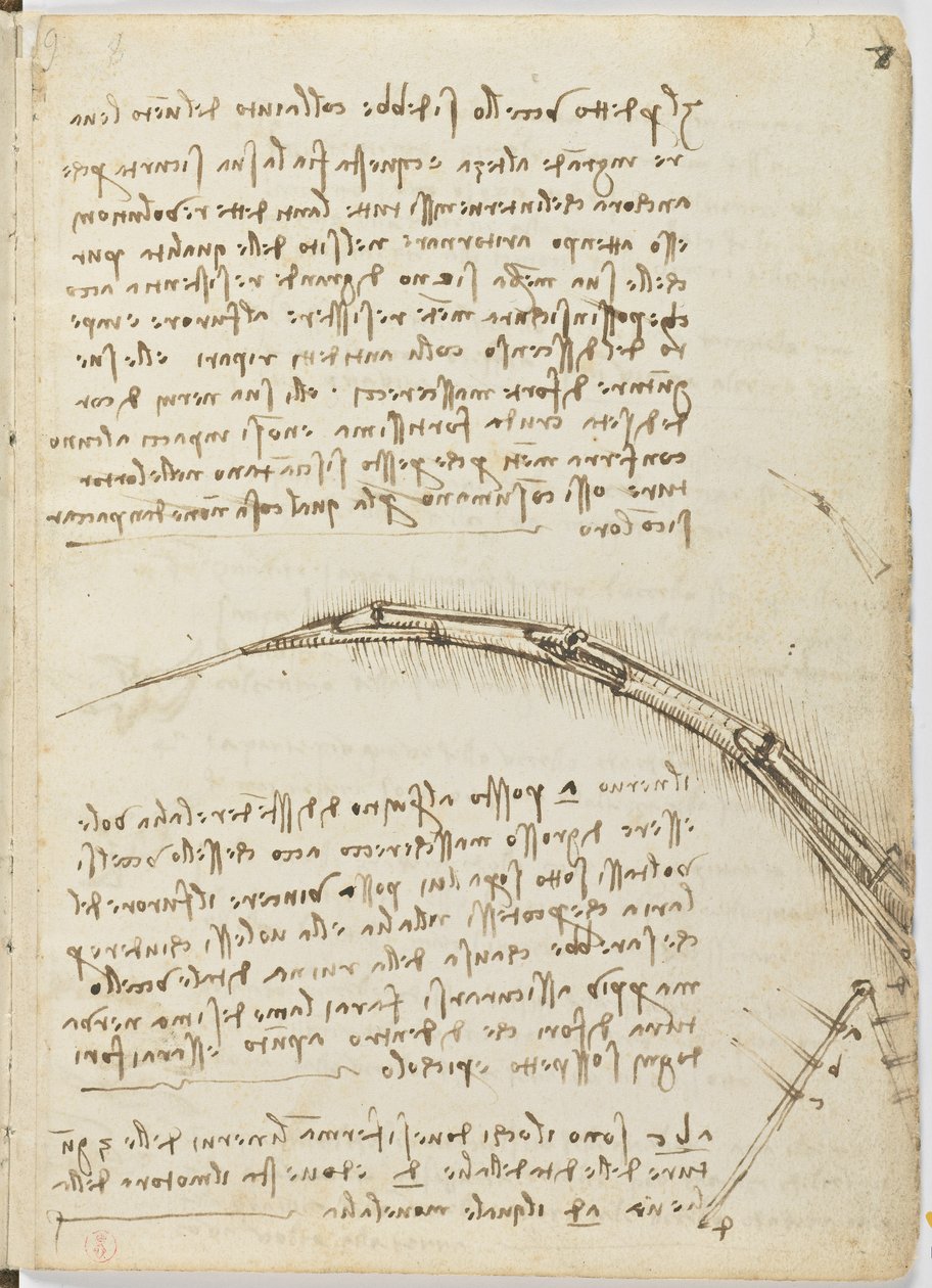 鸟类飞行代码，c。 1505-06，纸质手稿，cc。 18，表7正面 作者 达芬奇（Leonardo da Vinci）
