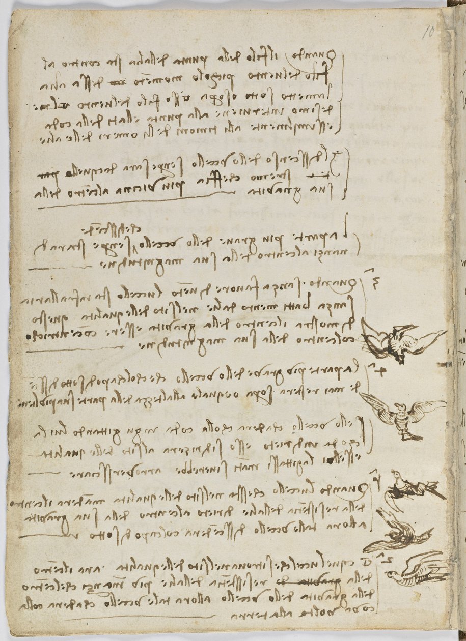 鸟类飞行代码，c。 1505-06，纸质手稿，cc。 18，表7反面 作者 达芬奇（Leonardo da Vinci）