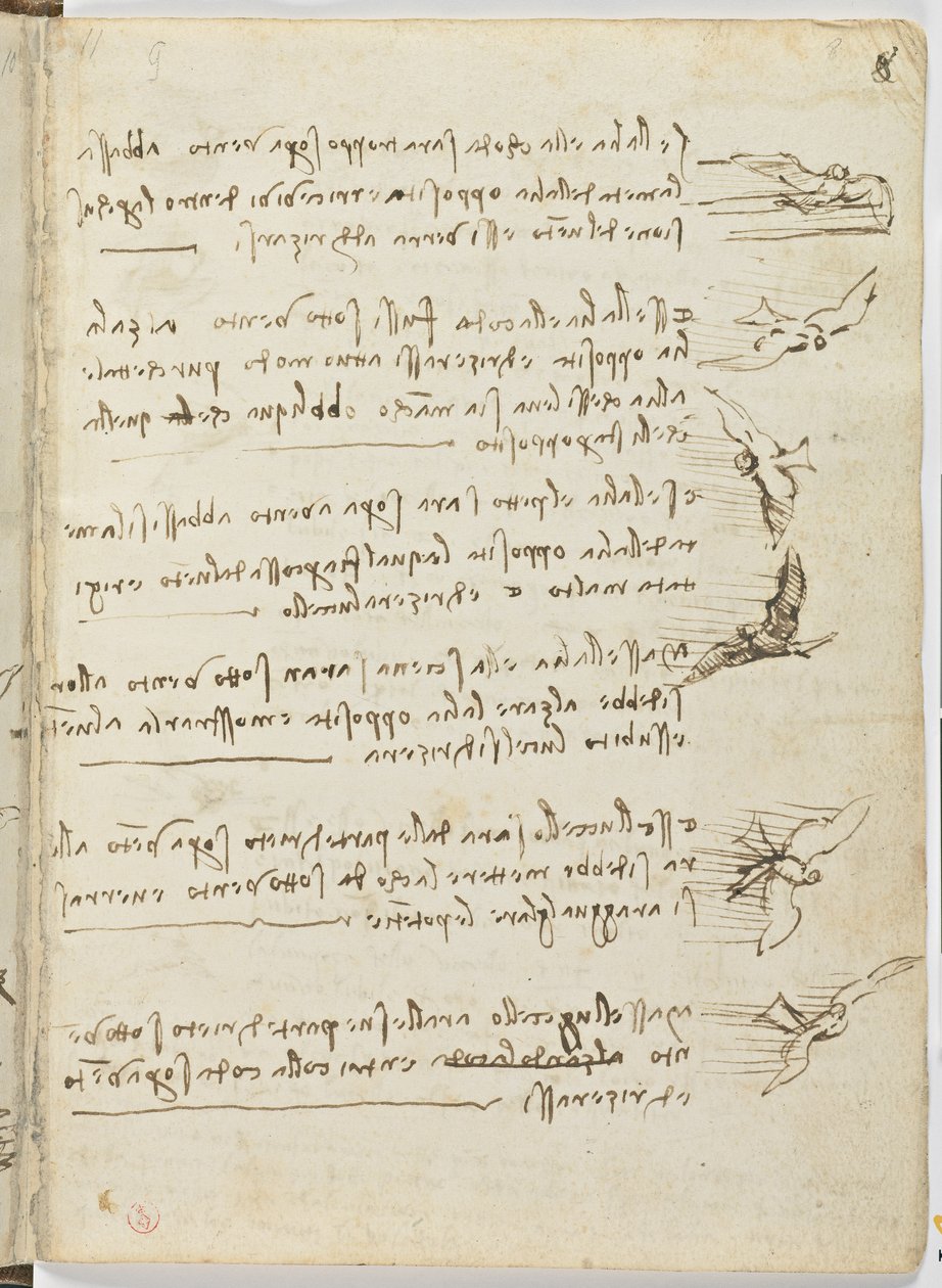 鸟类飞行代码，c。 1505-06，纸质手稿，cc。 18，表8正面 作者 达芬奇（Leonardo da Vinci）