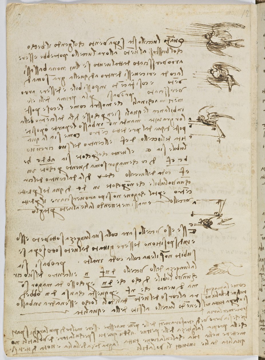 鸟类飞行代码，c。 1505-06，纸质手稿，cc。 18，表8反面 作者 达芬奇（Leonardo da Vinci）