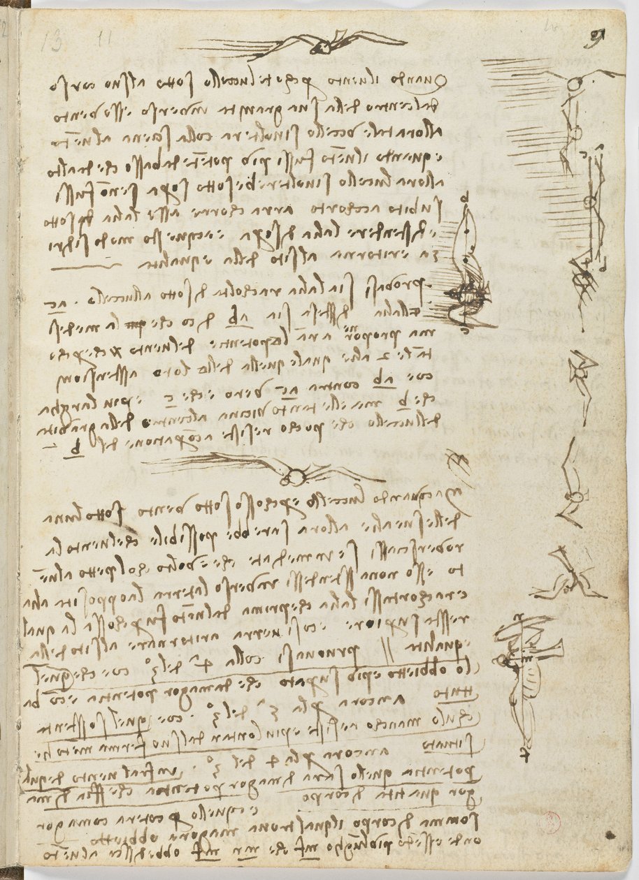 鸟类飞行代码，c。 1505-06，纸质手稿，cc。 18，表9正面 作者 达芬奇（Leonardo da Vinci）