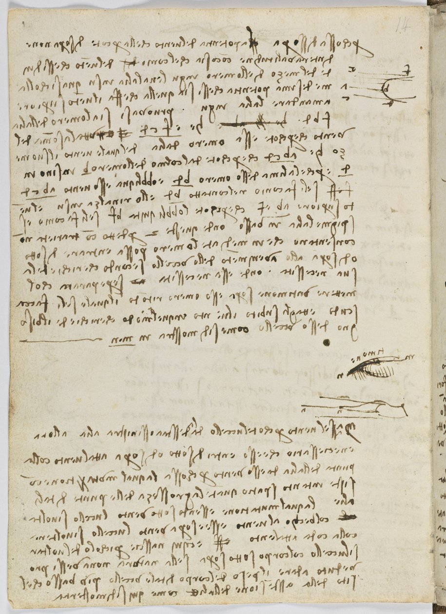 鸟类飞行代码，c。 1505-06，纸质手稿，cc。 18，表9反面 作者 达芬奇（Leonardo da Vinci）