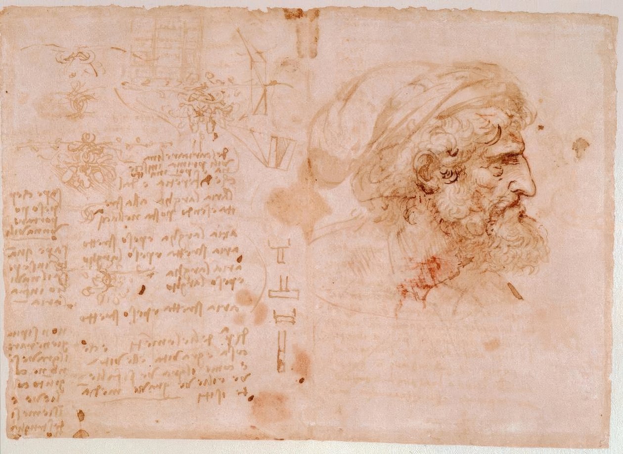 叶子装饰研究-一位老人的侧面肖像... 作者 达芬奇（Leonardo da Vinci）