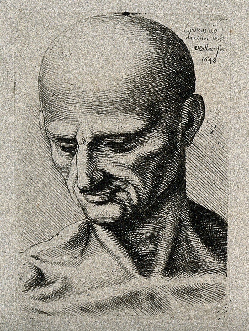 一个瘦男的半身像，俯视着他的右下角 作者 达芬奇（Leonardo da Vinci）