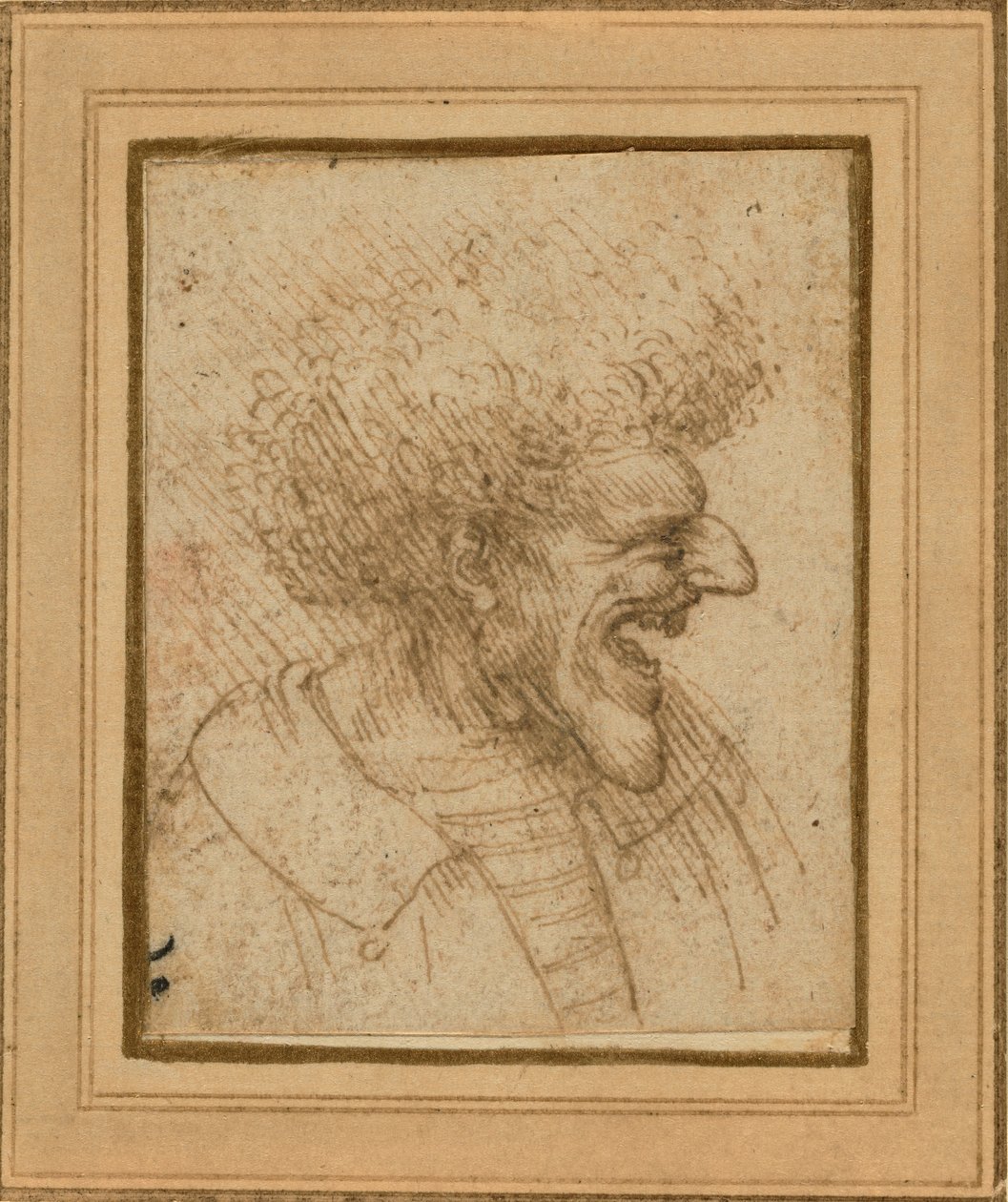 讽刺漫画头发的男子，c.1495 作者 达芬奇（Leonardo da Vinci）