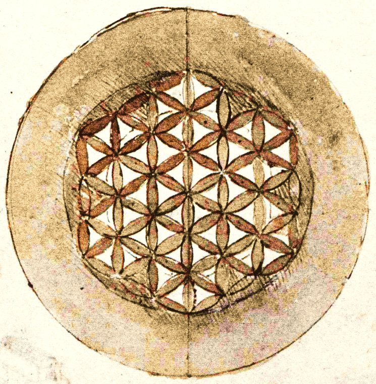 Codex Atlanticus folio 309v摘录 作者 达芬奇（Leonardo da Vinci）