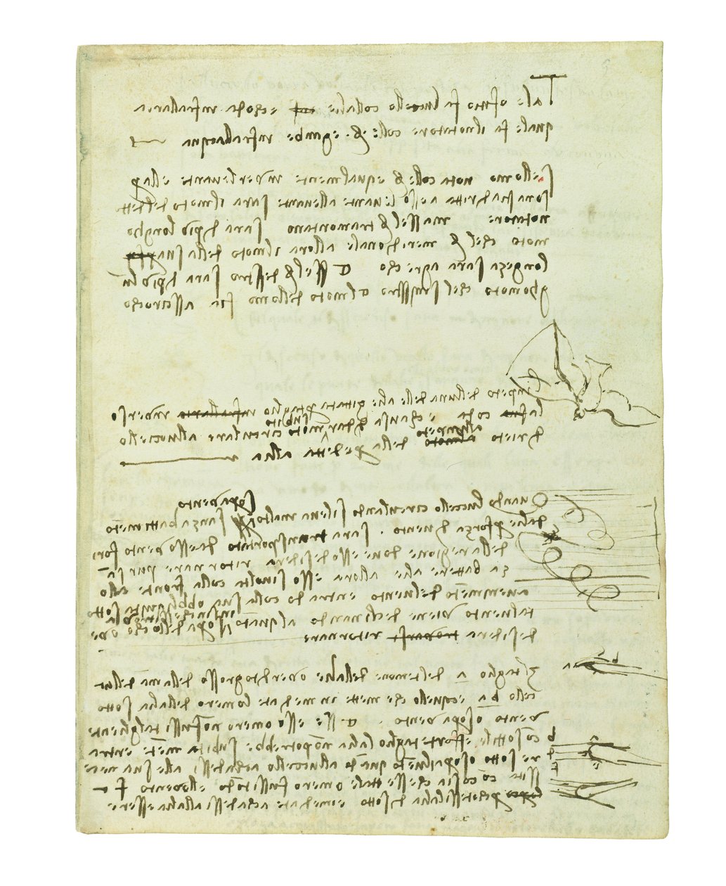 关于鸟类飞行的法典，Folio 10 recto 作者 达芬奇（Leonardo da Vinci）