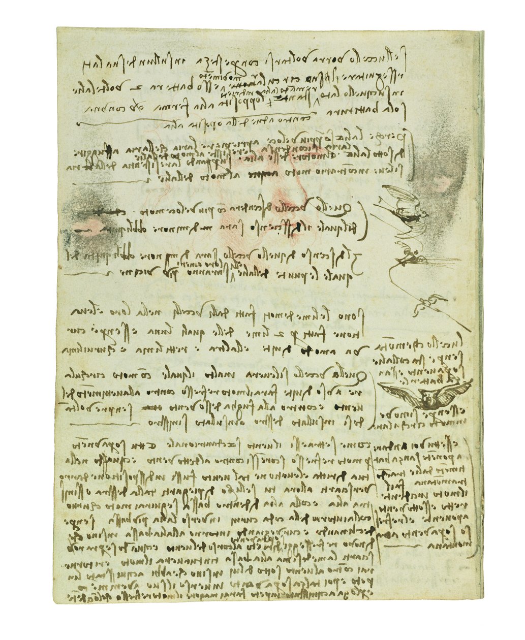 关于鸟类飞行的法典，Folio 10 verso 作者 达芬奇（Leonardo da Vinci）