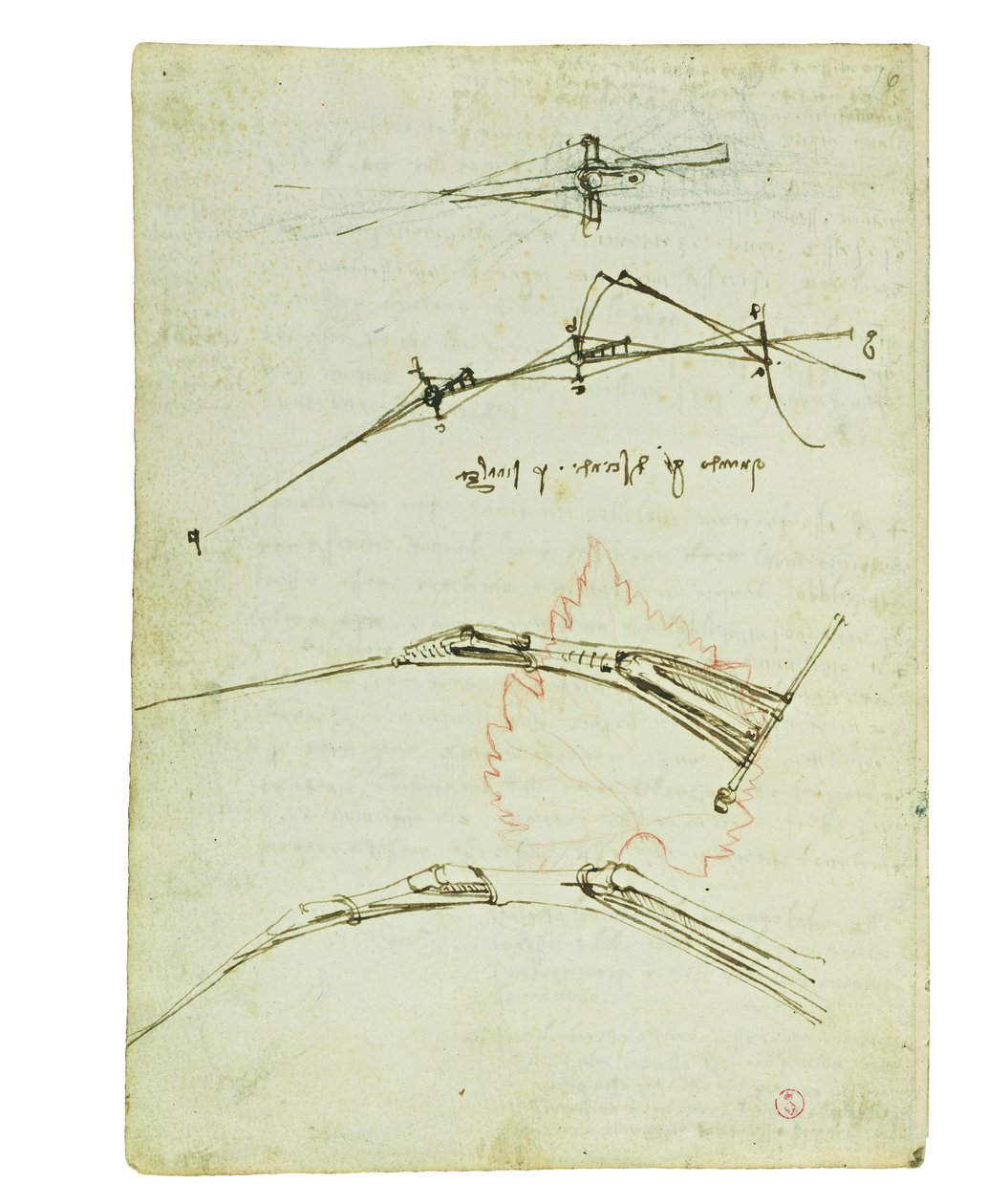 关于鸟类飞行的法典，Folio 11 verso 作者 达芬奇（Leonardo da Vinci）