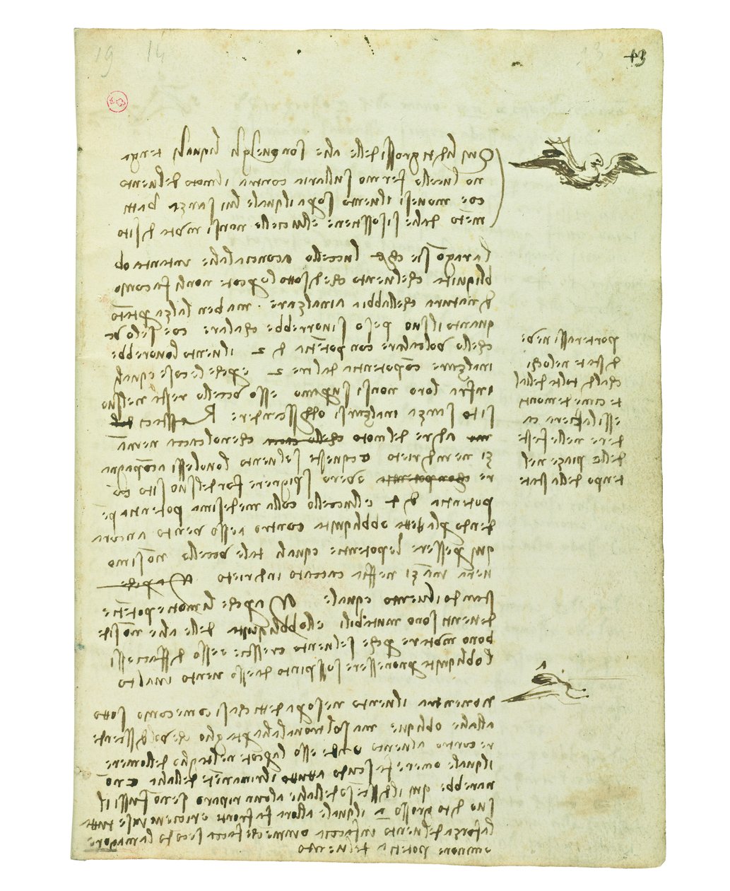 关于鸟类飞行的法典，Folio 13 recto 作者 达芬奇（Leonardo da Vinci）