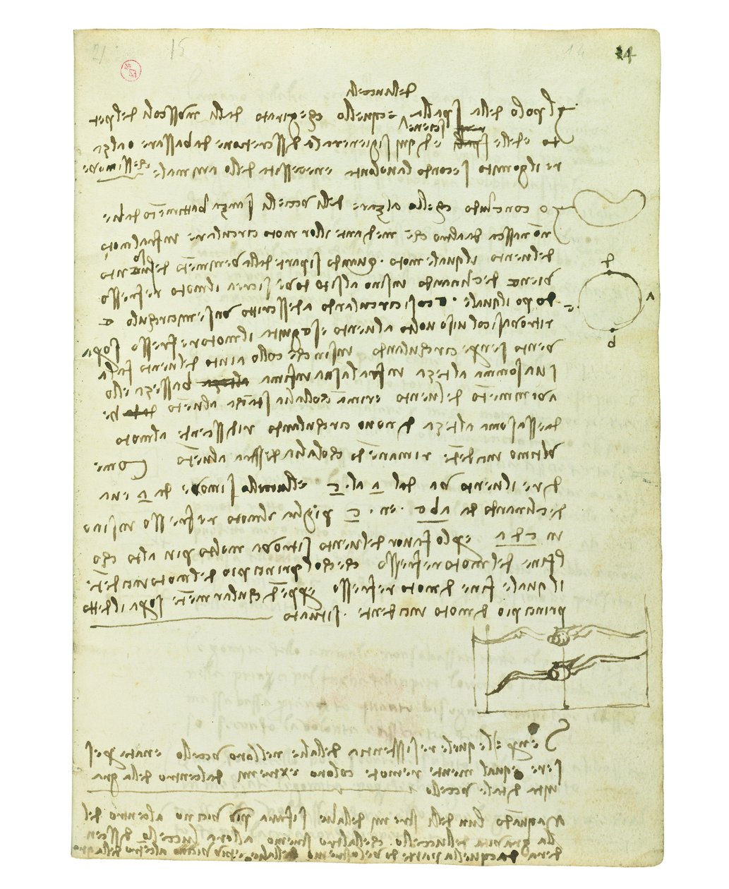 关于鸟类飞行的法典，Folio 14 recto 作者 达芬奇（Leonardo da Vinci）
